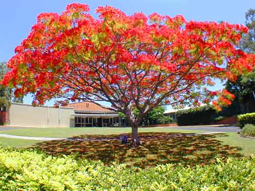 College Exterior