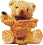 A Cute Honey Bear